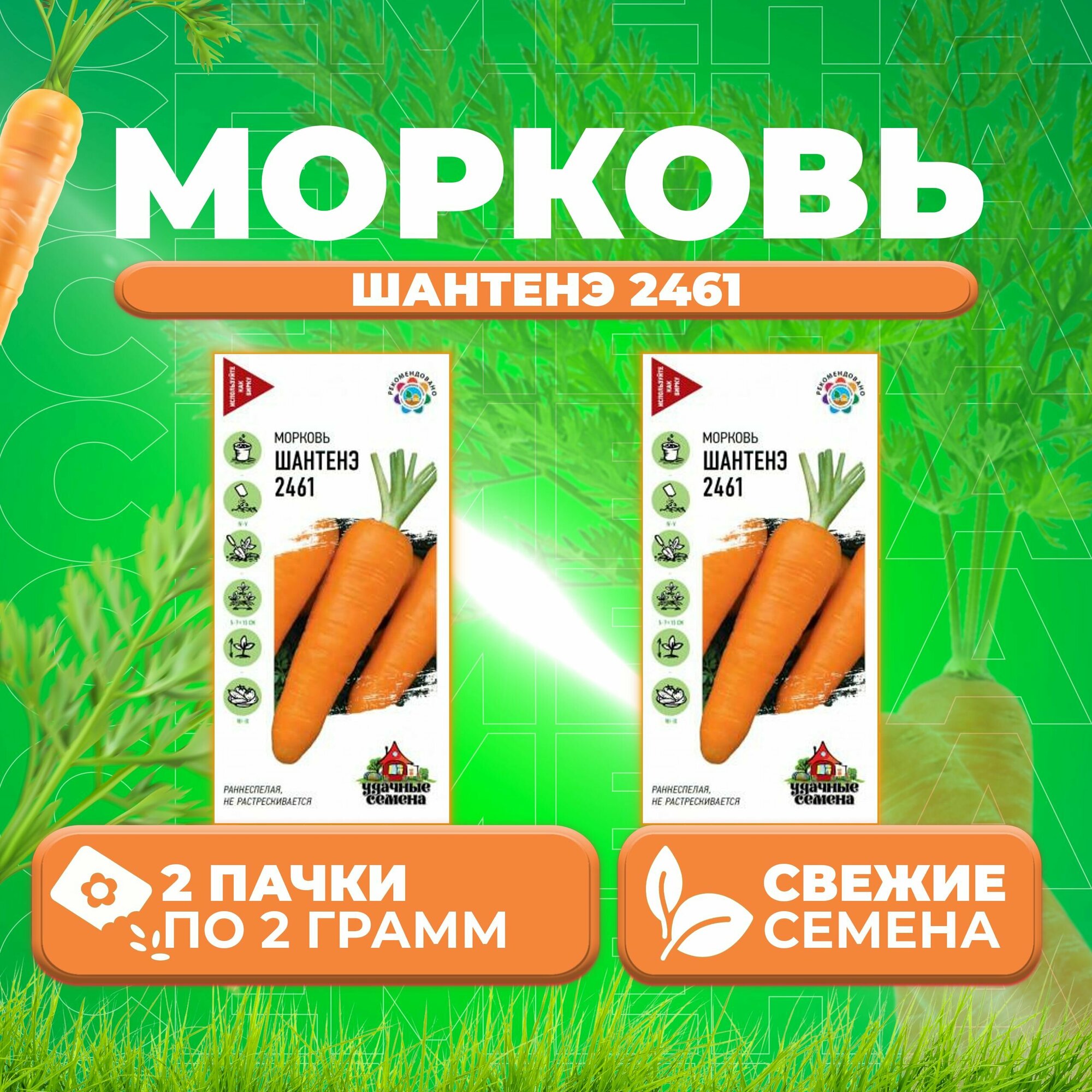 Морковь Шантенэ 2461 20г Удачные семена (2 уп)