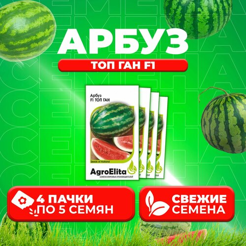 Арбуз Топ Ган F1, 5шт, AgroElita (4 уп)