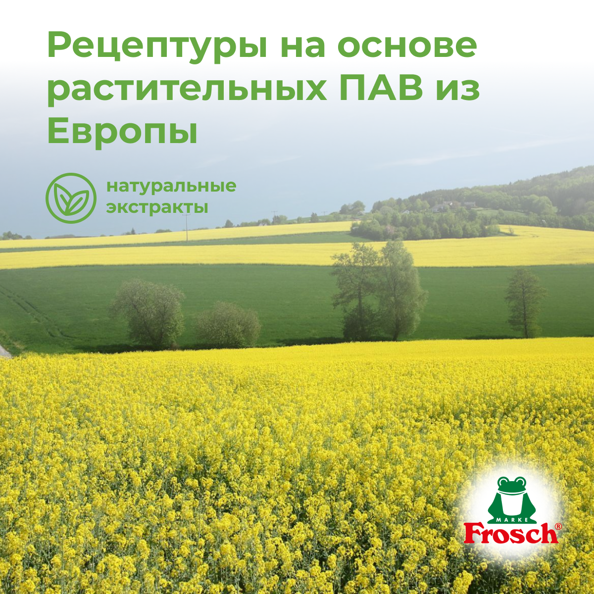 Стиральный порошок Frosch Citrus с отбеливателем, 1350 г - фото №14