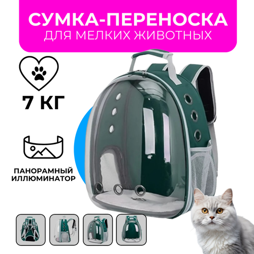 Рюкзак переноска для кошек и собак с панорамным видом (зеленый)