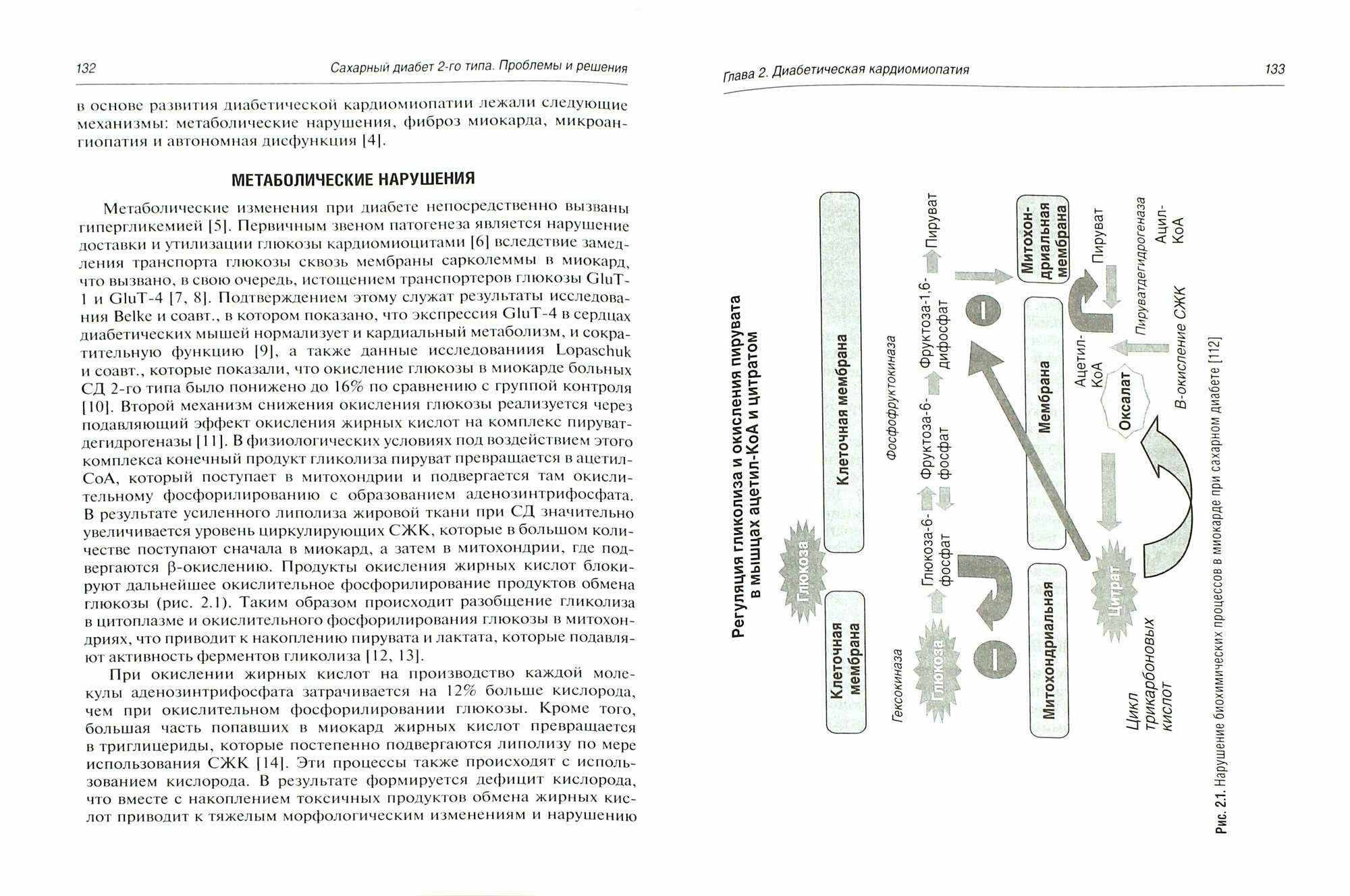 Сахарный диабет 2 типа. Проблемы и решения. Учебное пособие. Том 5 - фото №3