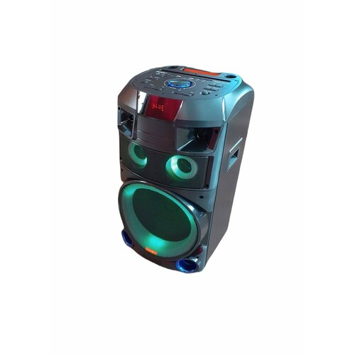 Колонка акустическая профессиональная Караоке 1191 P M P O 1000Вт2 микрофонаПультBluetoothUSBFMантеннаTF cardAuxАудио вход выход 1487000₽