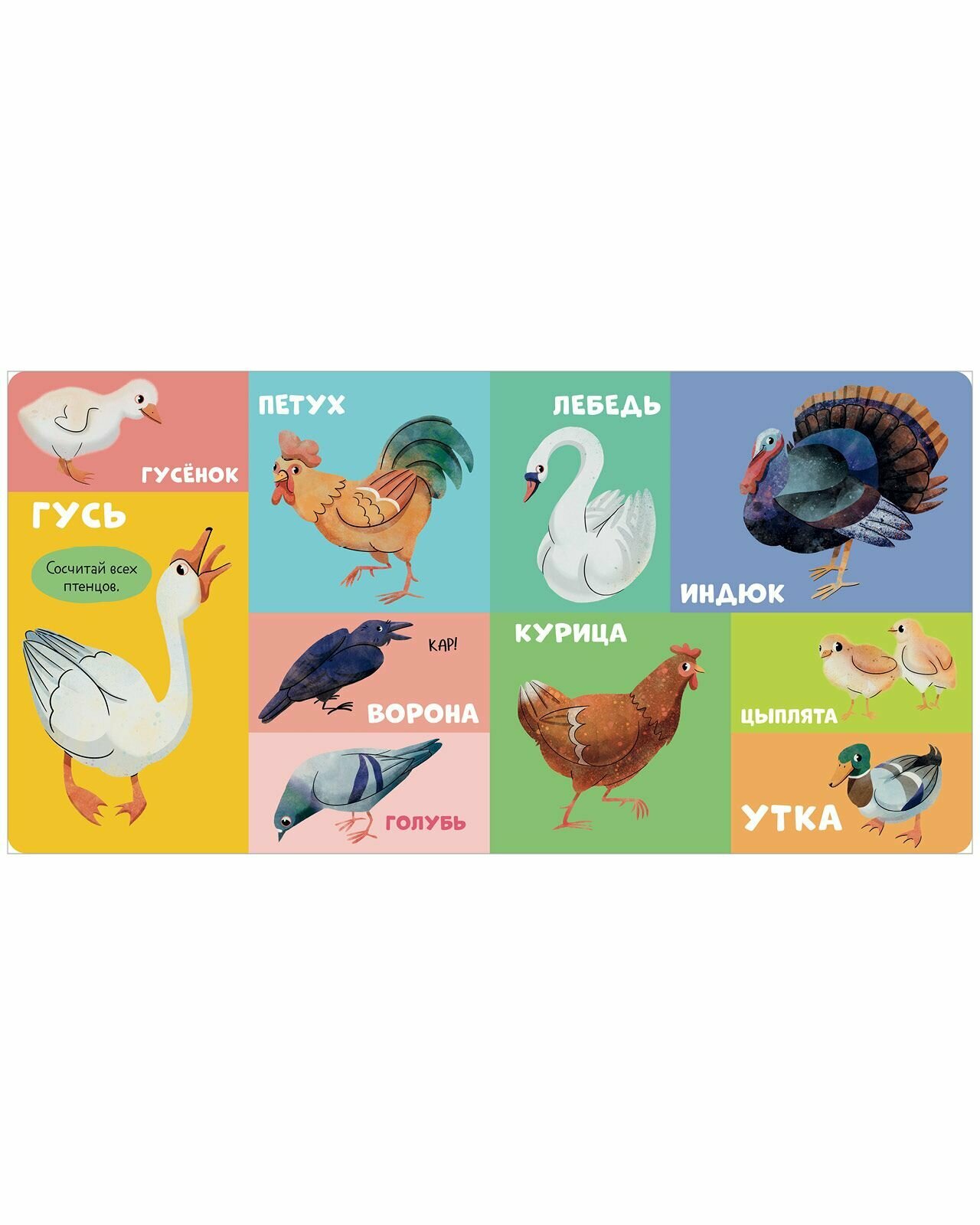 100 животных (нет автора) - фото №3