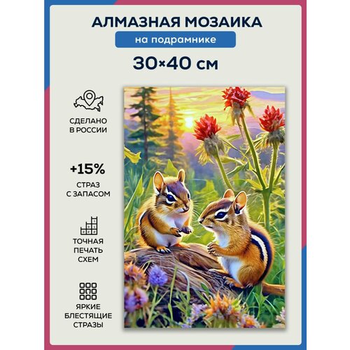 Алмазная мозаика 30x40 Два бурундука на подрамнике