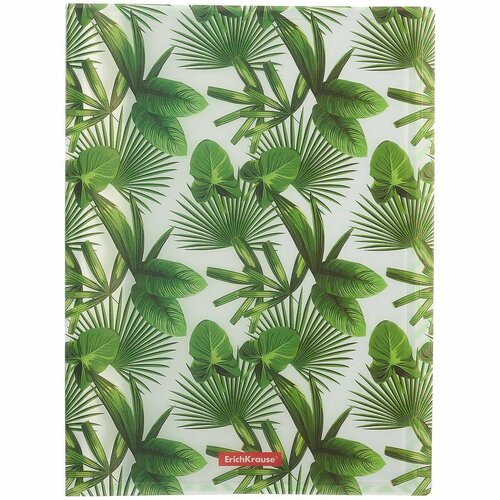 Папка 20ф А4 Tropical Leaves пластик, Erich Krause папка 20ф а4 tropical nature пластик спираль erich krause