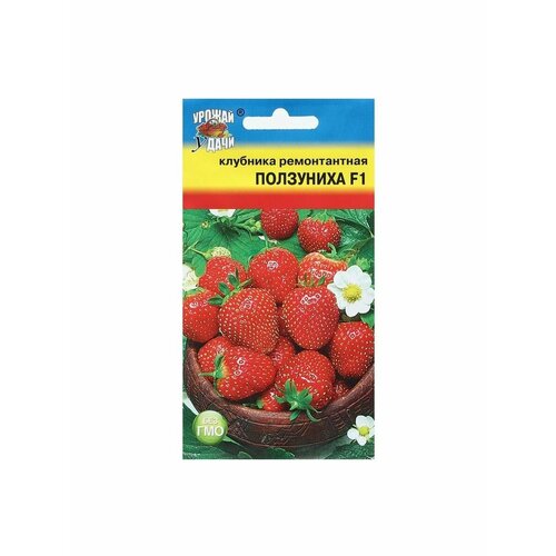 семена томат государь f1 0 5 г урожай удачи Семена Клубника Урожай удачи, ремонтантная Ползуниха, F1