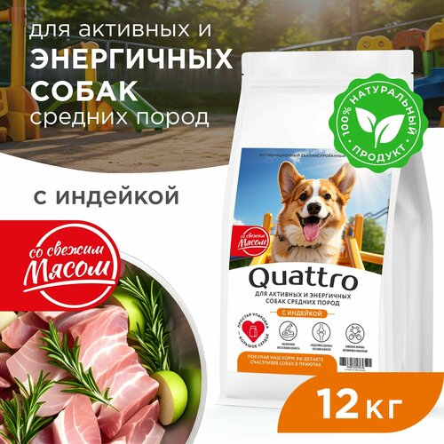 Корм сухой для взрослых собак средних пород, премиум полнорационный комплекс, для активных и энергичных, с индейкой, 12 кг, QUATTRO