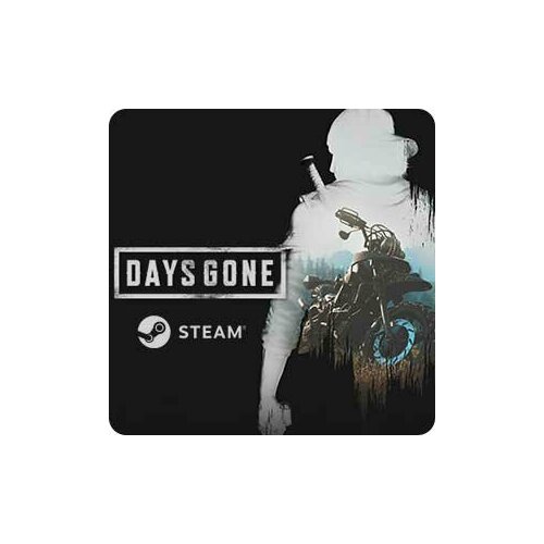 Days Gone (PC)