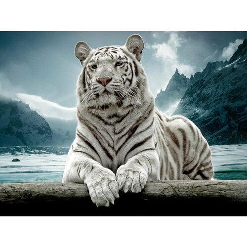 Алмазная мозаика на подрамнике/Картина стразами/ Алмазное хобби 