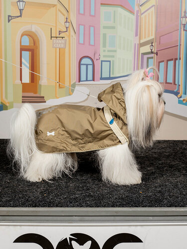 Изображение товара Дождевик спортивная курточка трансформер светоотражающая Japan Premium Pet. Размер M. Цвет бежевый хаки. Унисекс