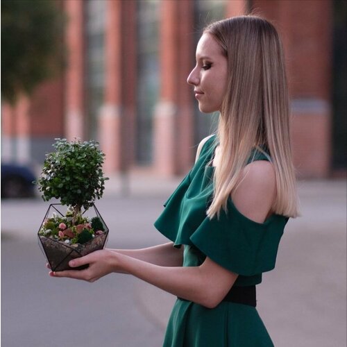 Флорариум с мирсиной африканской от Flolefor Цветочная поляна 6500₽