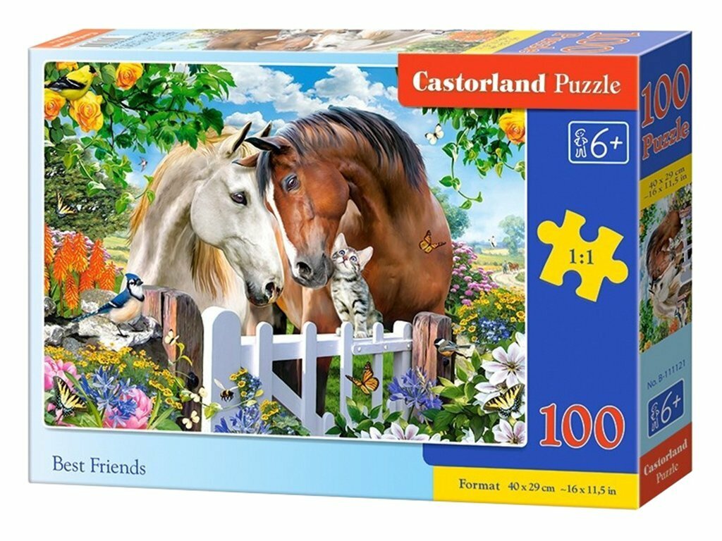 Пазлы Castorland 100 деталей (B-111121)