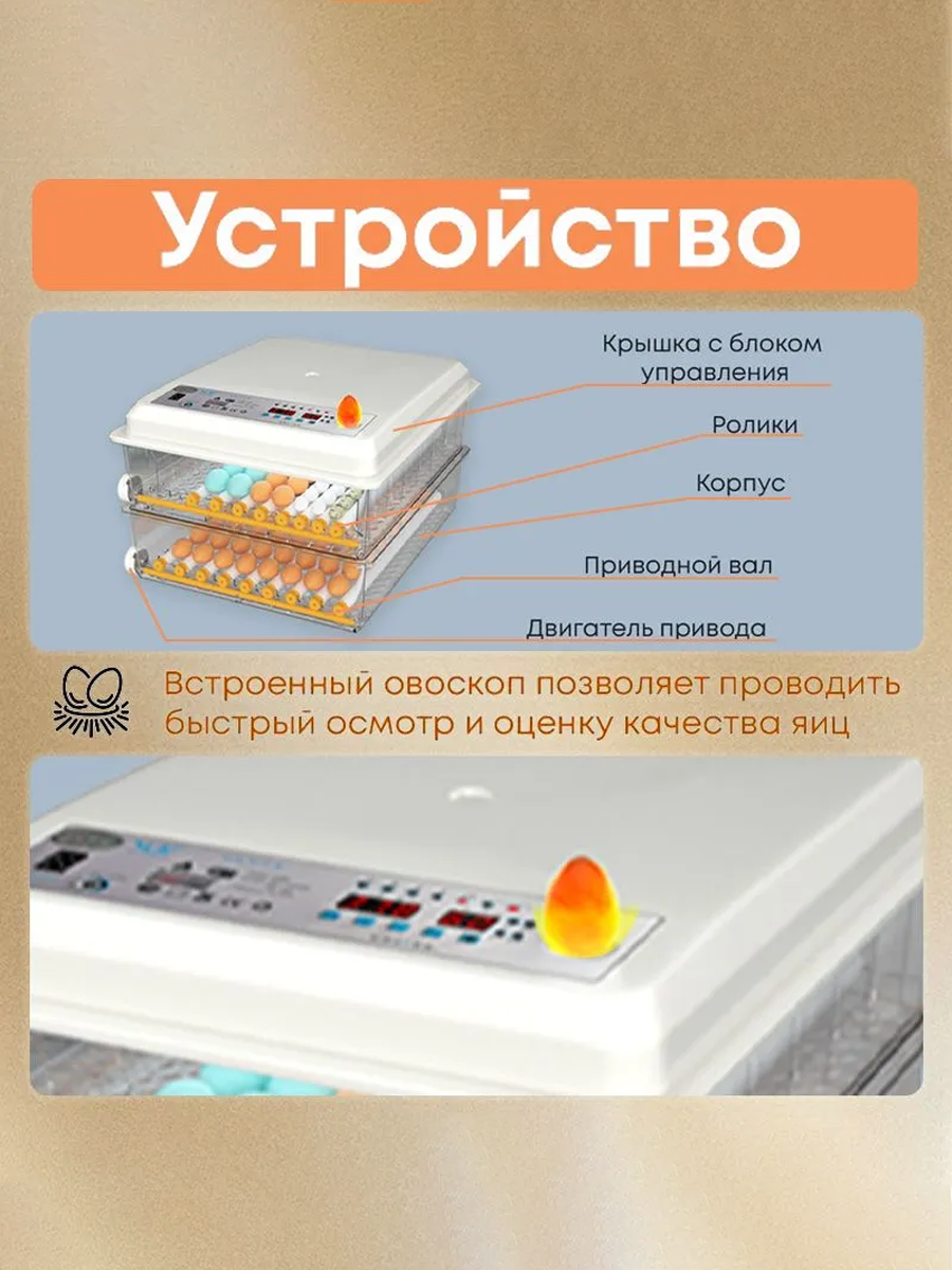 100 яиц, Автоматический инкубатор для яиц, Регулирование температуры и влажности, AC220V, один источник питания — фото 1