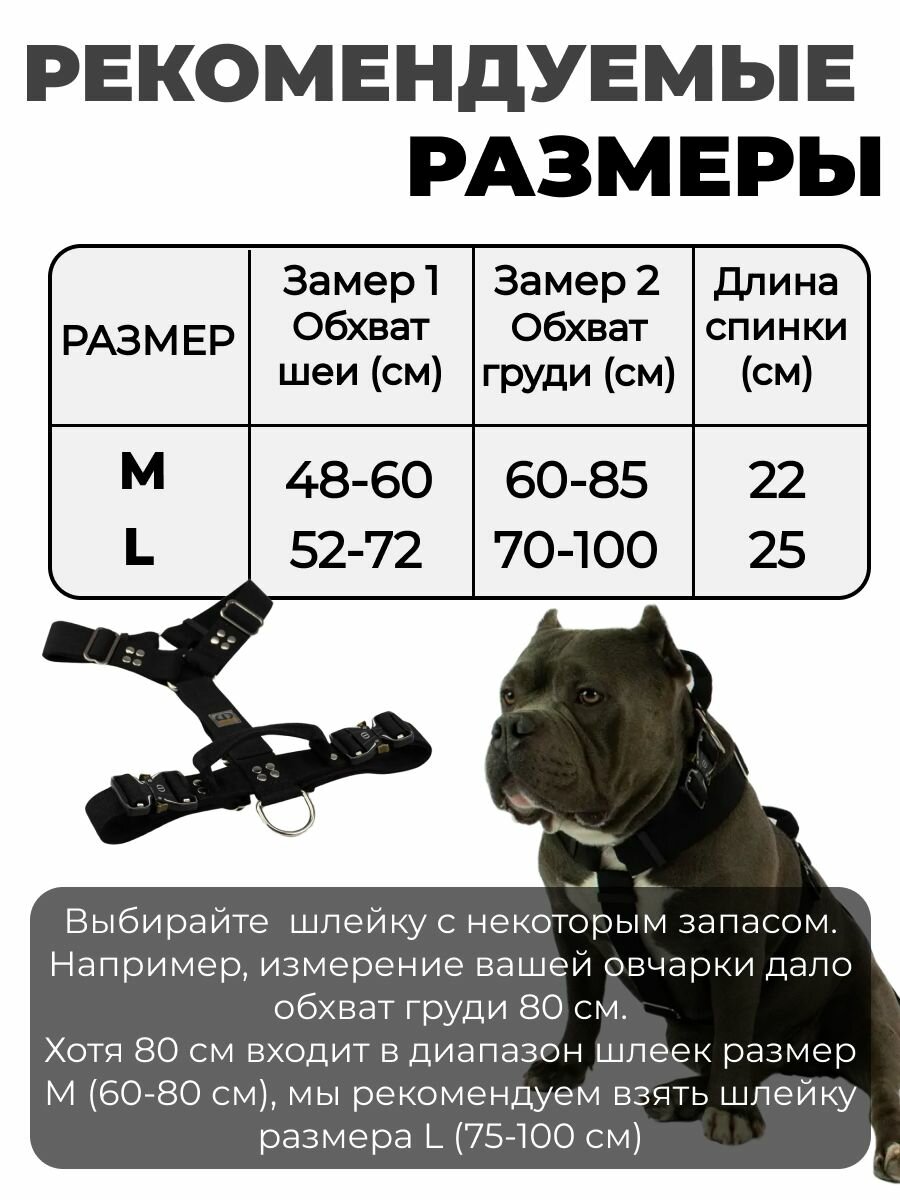 Шлейка с ручкой для собак прогулочная анатомическая, для ЗКС, тренировок, CORADOG Double Power для крупных и средних собак, размер L, черный — фото 1