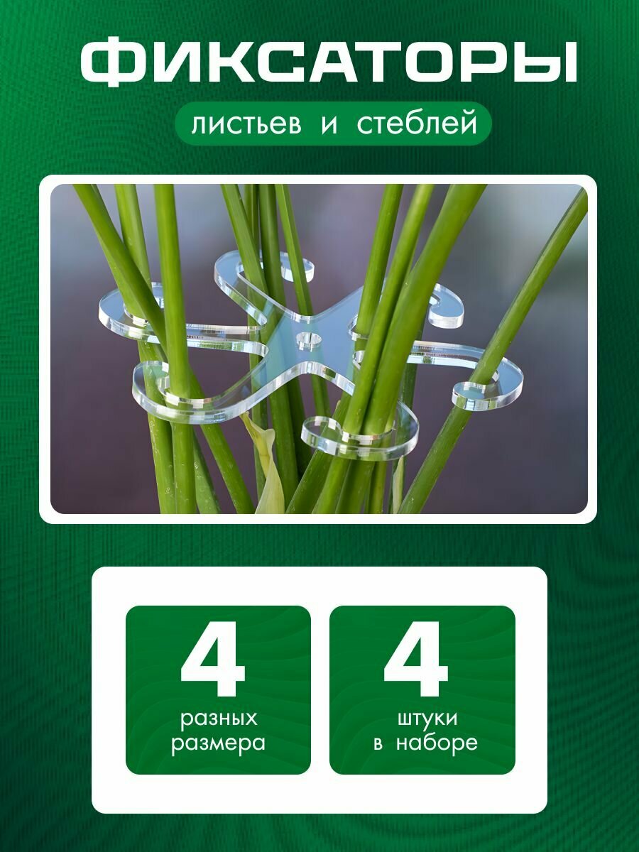 Опора для сбора стеблей растений 4 штуки прозрачная
