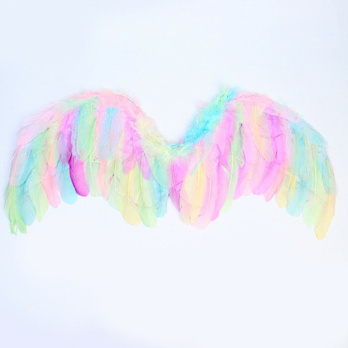 Карнавальные крылья КНР "Ангел", разноцветные, 52х23 см