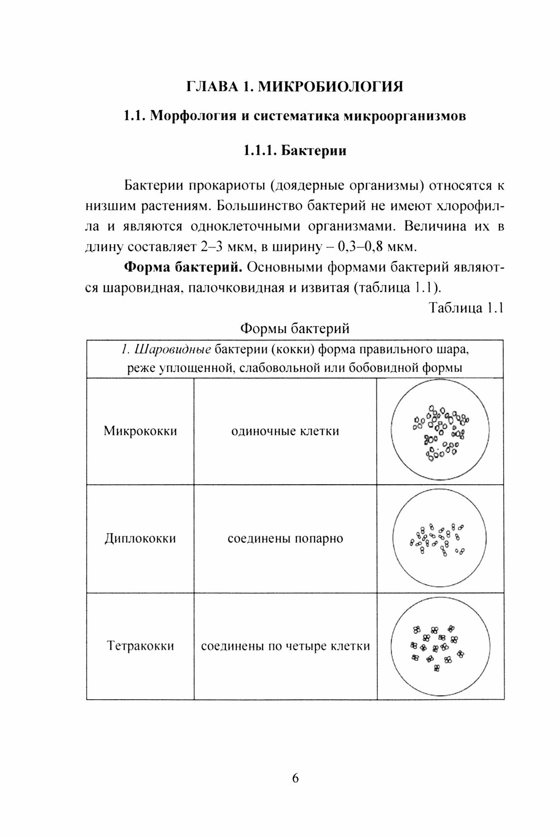 Микробиология и эпидемиология в общественном питании. Учебник - фото №2