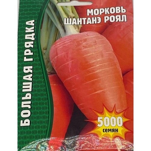 Морковь Шантане Роял 5000 шт редкие семена