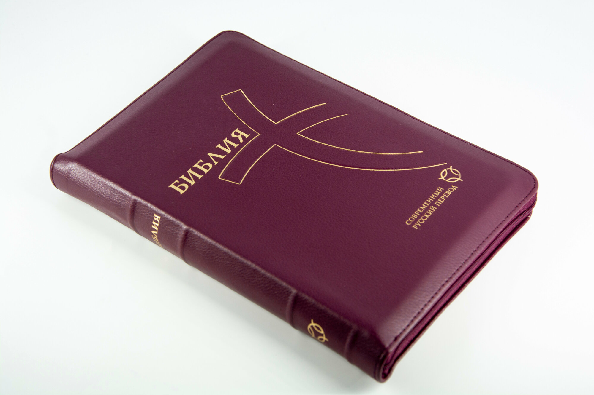 Библия, современный русский перевод - фото №20