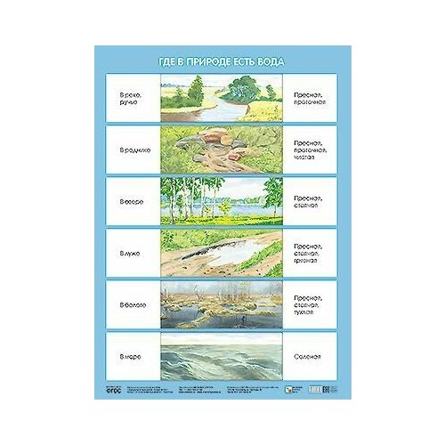 Обучающие плакаты для ДОУ. Где в природе есть вода (Николаева С. Н.). Мозаика-Синтез николаева с н кому нужны деревья в лесу плакаты