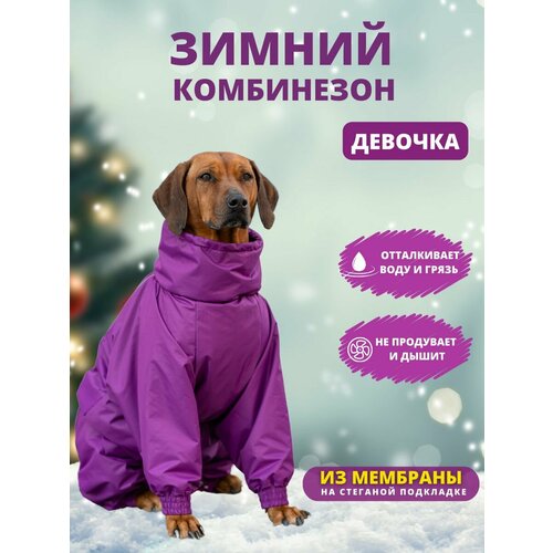 Комбинезон зимний для собак средних пород SNOW plus, 45+ж (сука), фиолетовый, 2XL+