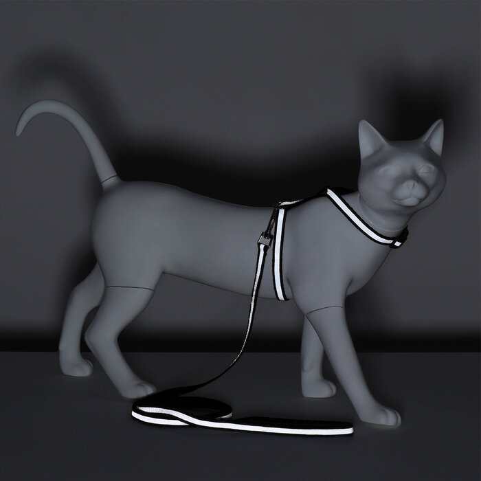 Комплект для кошек светоотражающий,ширина 1 см,шлейка 21-35 см,поводок 120 см, чёрный 9912209 - фотография № 8