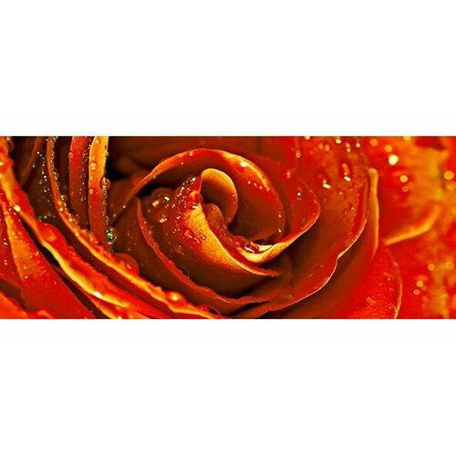 Керамическая плитка Cerrol Royal Rosa Tulip Syntia Rose 1 Декор 20x50 (цена за 20 шт)