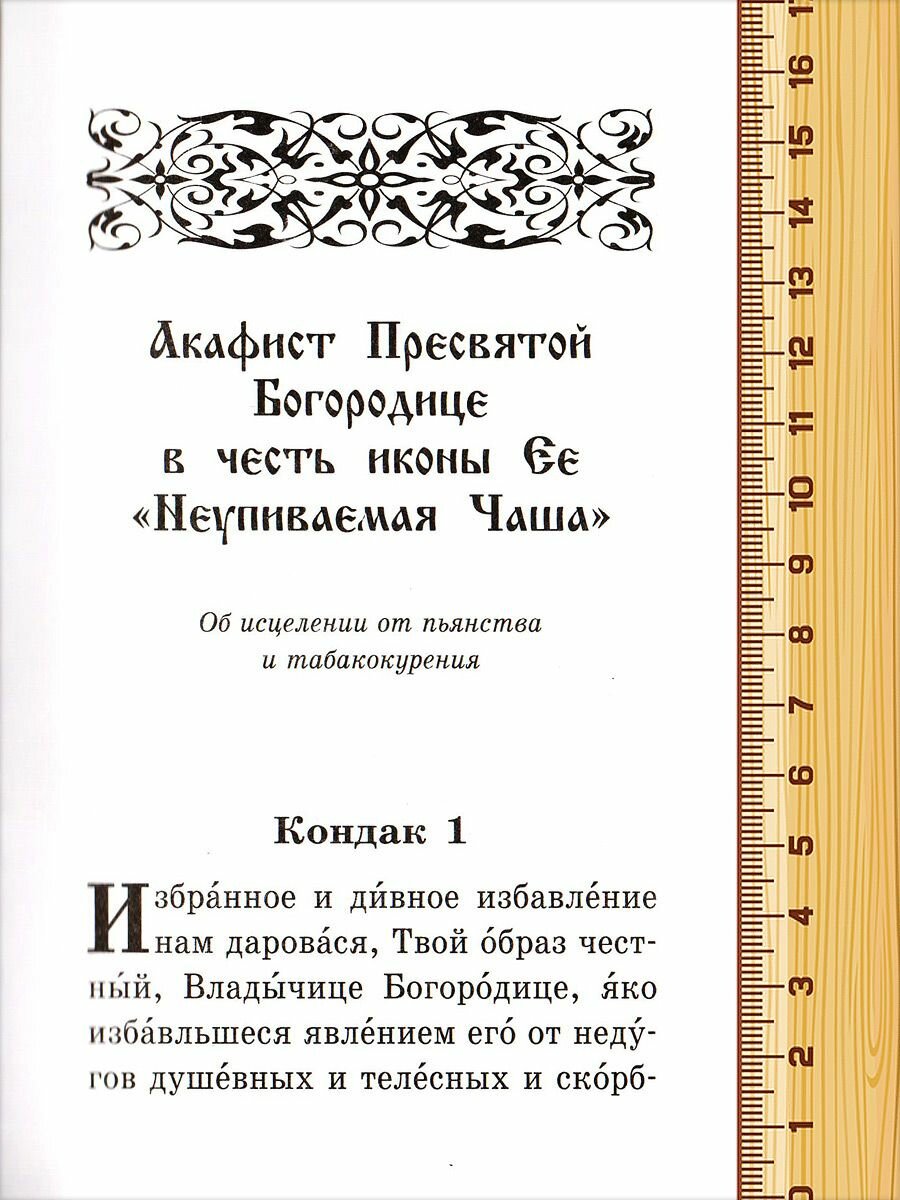 Акафистник в душевных болезнях "Помощь и защита" - фото №5