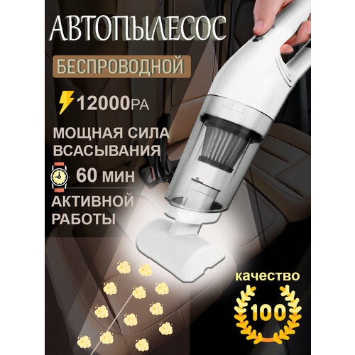 Беспроводной автомобильный и домашний пылесос 239000₽