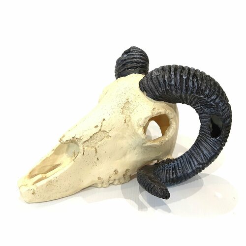 Декор для террариума 