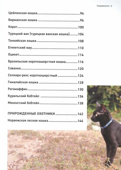 Все породы кошек. Большая иллюстрированная энциклопедия - фото №11