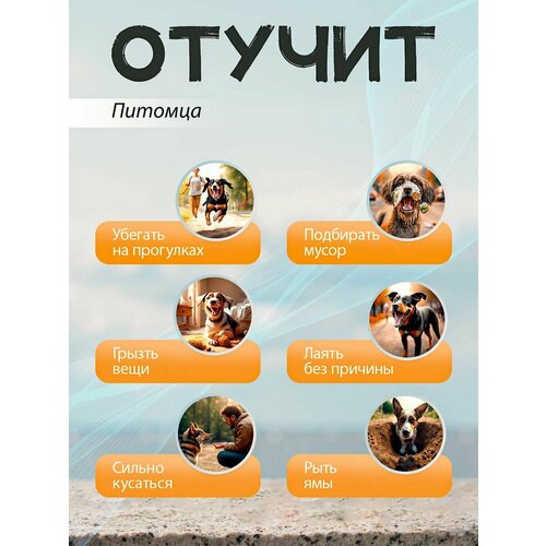 фото Электронный ошейник superpets для мелких, средних и крупных пород собак и кошек