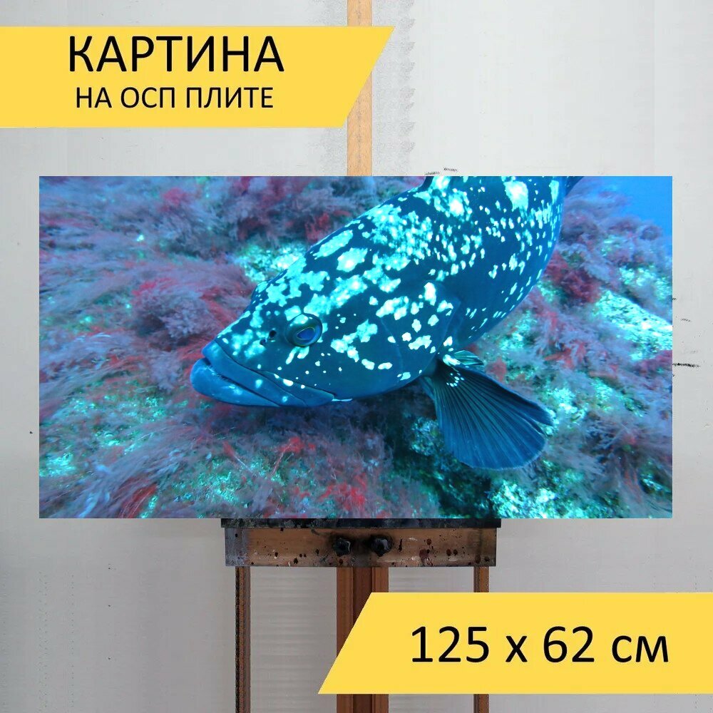 Картина на ОСП "Морской окунь, рыбы, подводный" 125x62 см. для интерьера на стену