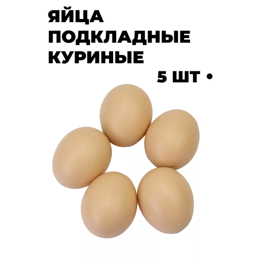 яйцо куриное вараксино деревенское с1 10 штук Яйцо подкладное муляж куриное, 5 штук