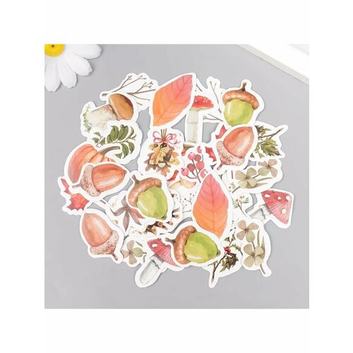 Наклейки для творчества Лесной урожай набор 46 шт 44х44 531₽