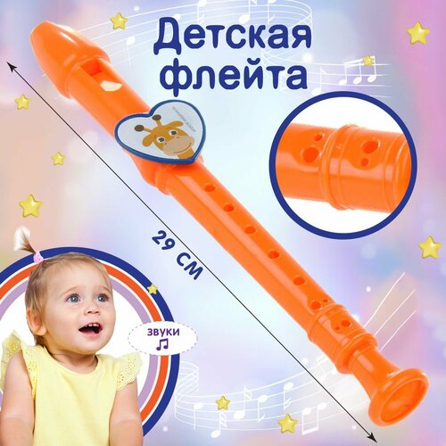 Флейта Veld Co 316₽