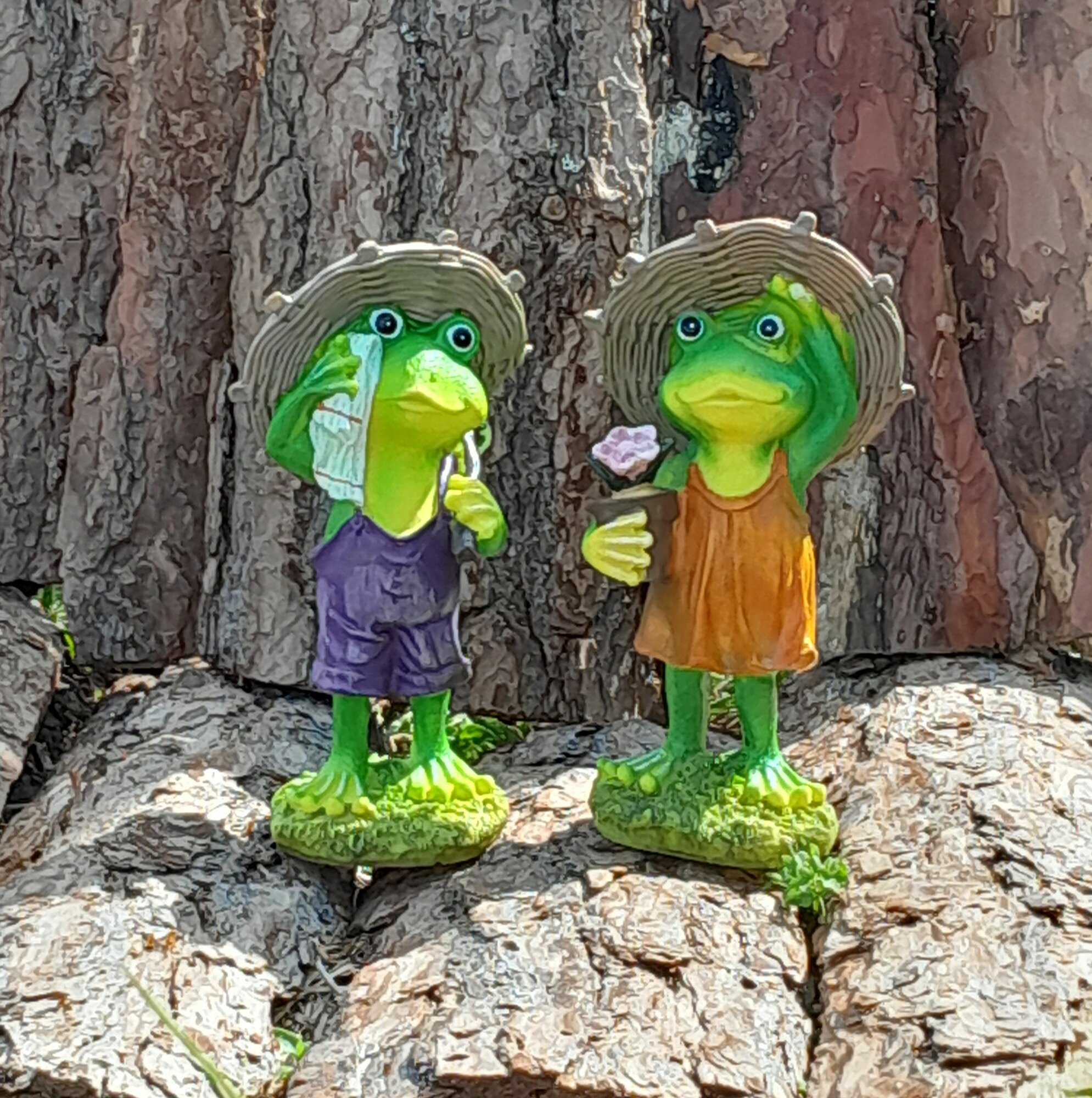 фото Фирку садовая Лягушонок-садовод