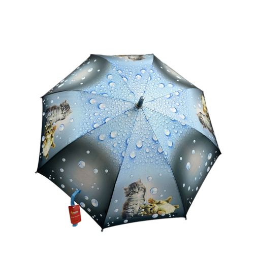 Зонт-трость Pasio, голубой