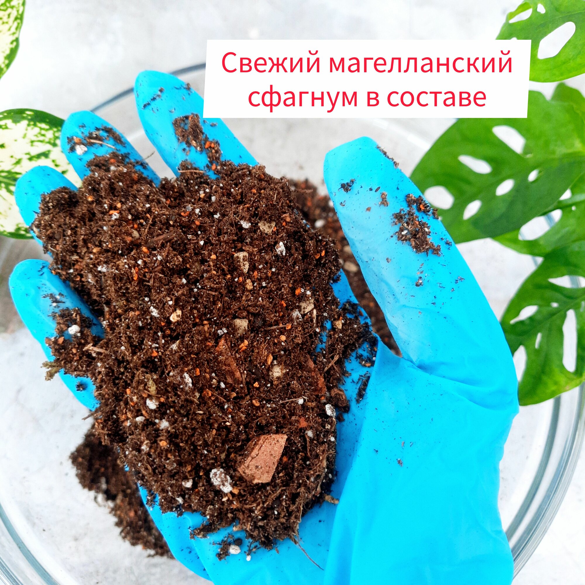 Грунт для ароидных 1,2 литра — фото 1