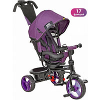 WERTER BERGER Велосипед 3-х кол PREMIUM XG7341-T16ZC лиловый