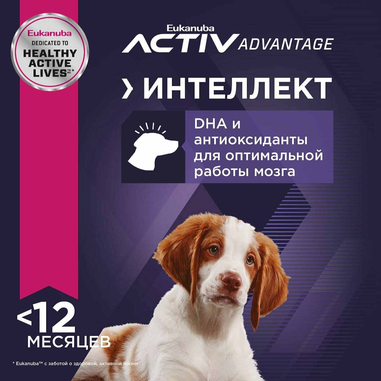 Сухой корм Eukanuba Puppy Medium Breed для щенков средних пород с птицей - 800 г — фото 1