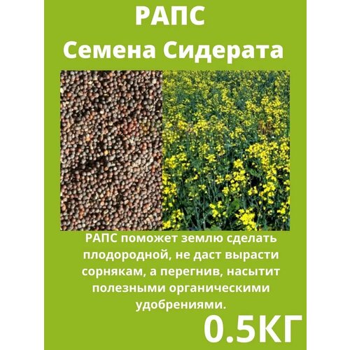 фото Рапс семена сидераты трава газонные 0,5 кг очумелый огородnik