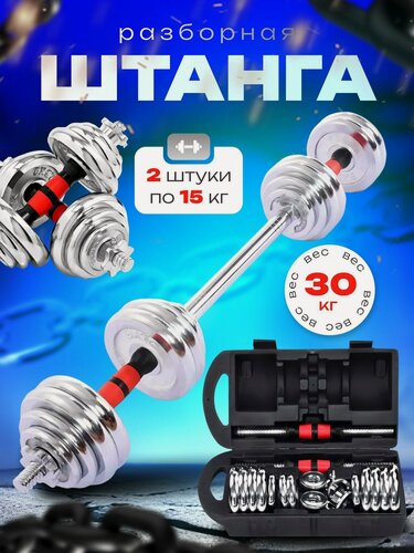 Изображение товара LEGENDFIT Штанга разборная спорт фитнес инвентарь в кейсе набор 30 кг