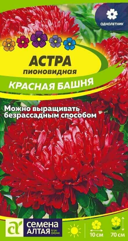 Семена астры Семена Алтая 