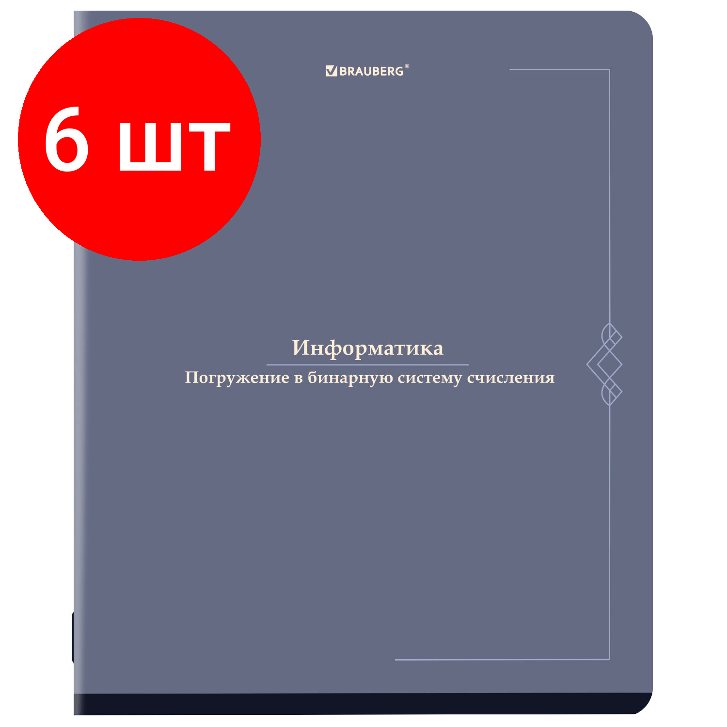 Комплект 6 шт, Тетрадь предметная VINTAGE 48 л, SoftTouch, информатика, клетка, подсказ, BRAUBERG, 405154