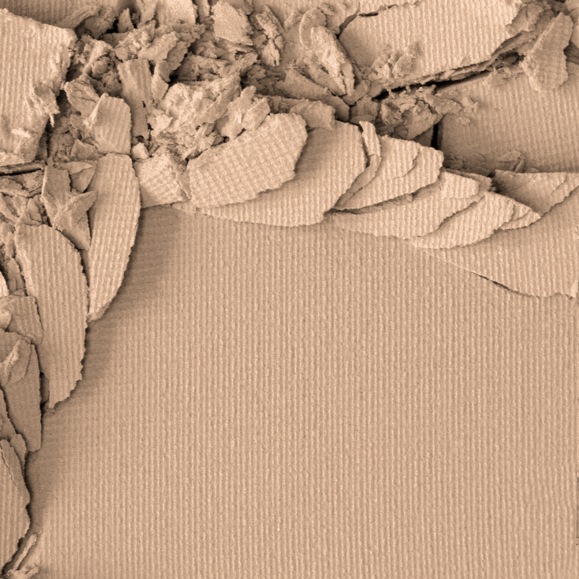 Пудра DIVAGE True Color 04, компактная, ухаживающая, темно-бежевая, 9 г — фото 1