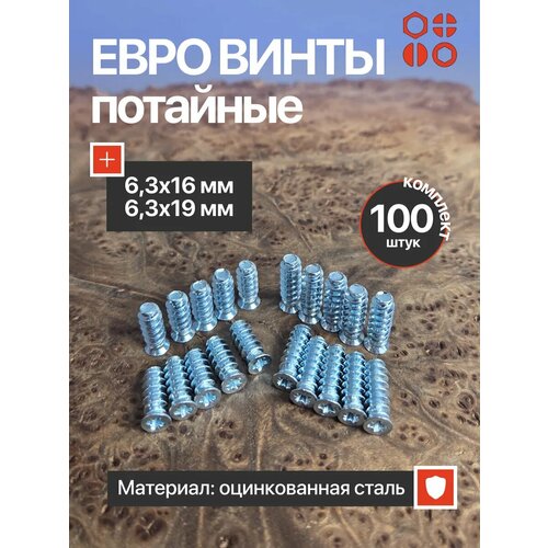 фото Евро винты потайные 6,3х16 мм и 6,3х19 мм оц, по 50 шт. 23 болта