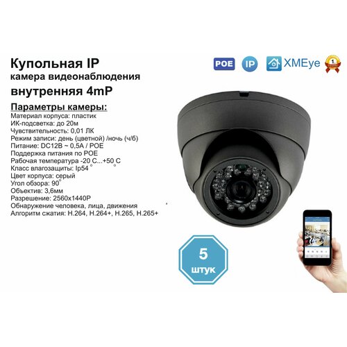 (5шт) DVS300IP4MP(POE). Внутренняя IP камера 4мП с ИК до 20м.