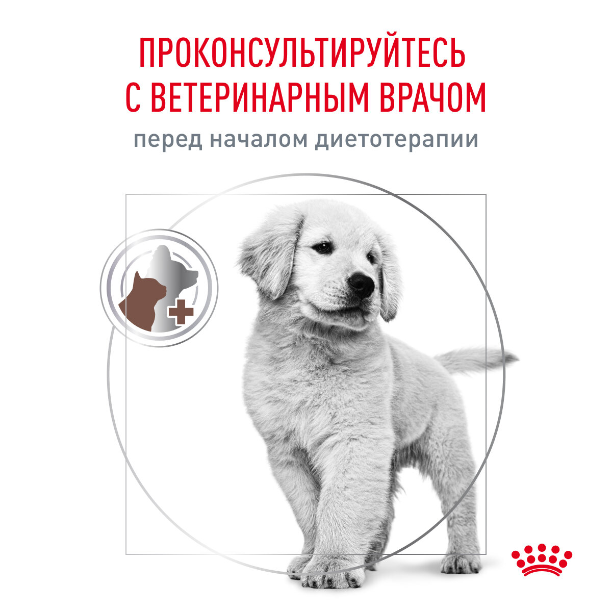 Корм для щенков ROYAL CANIN - фото №9