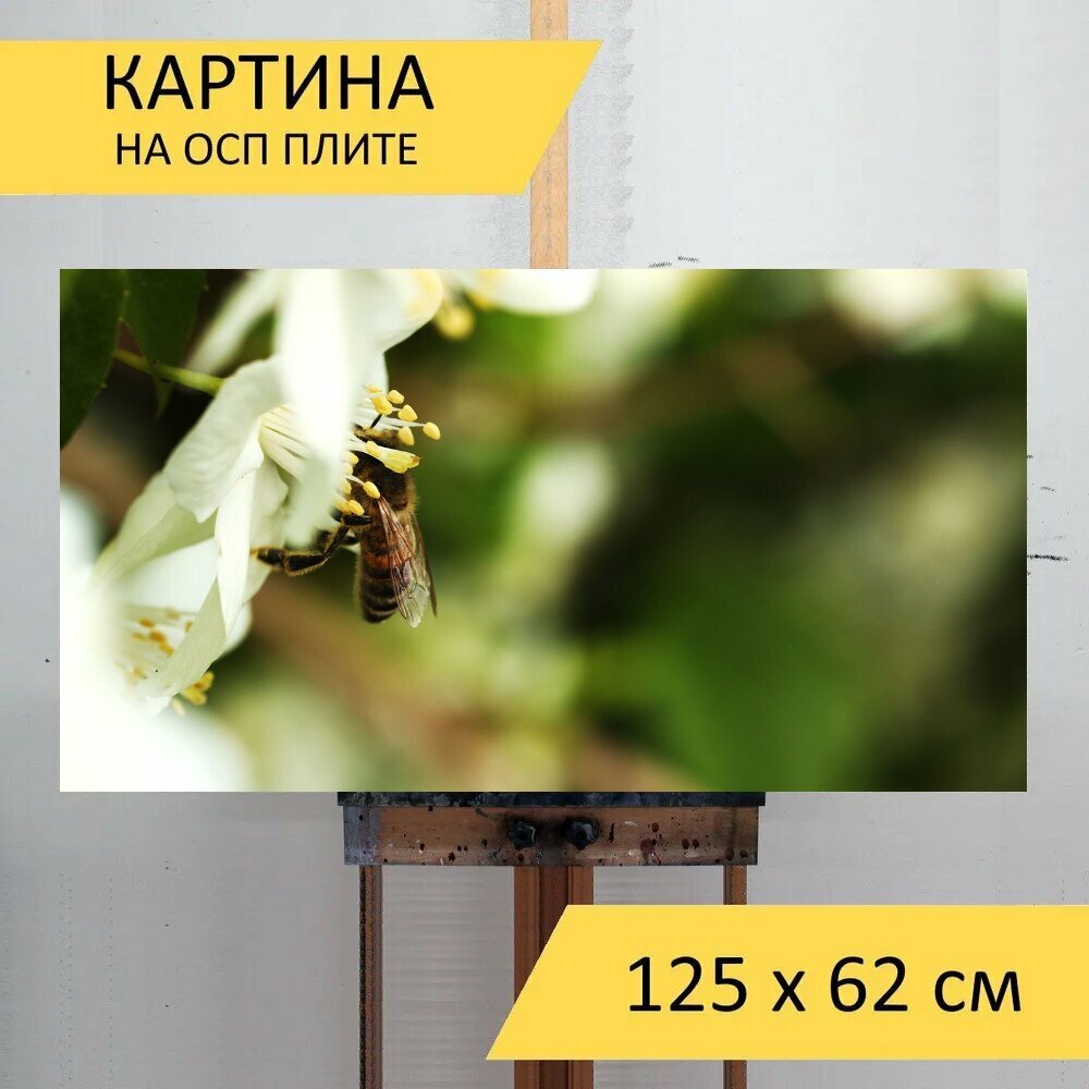 Картина на ОСП 125х62 см. "Оса, насекомое, природа" горизонтальная, для интерьера, с креплениями